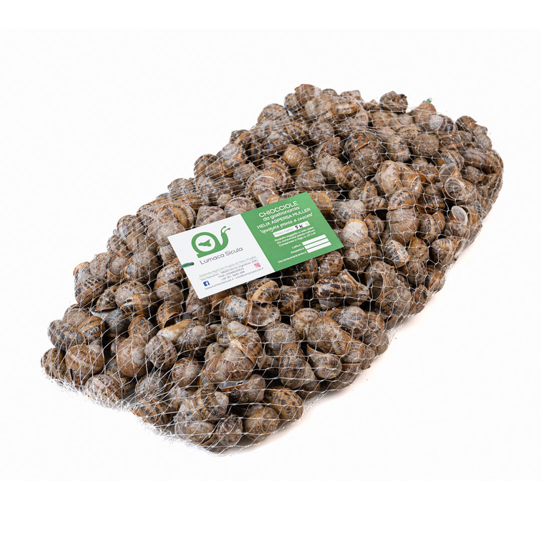 Lumache Fresche (Helix Aspersa) 5 kg